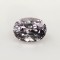 spinel  1.62cts - 8x6mm