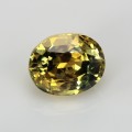 Natural Sapphire 1.42 Carats Golden Yellow with Green Tint Oval 7x5 mm Loose Gemstone - Image 6