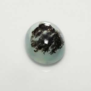 dendritic opal  3.70cts - 14x10mm