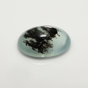 dendritic opal  3.70cts - 14x10mm