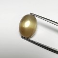 Natural Moonstone golden star 13.15 Carats Golden Honey Oval Cabochon 17x12 mm Loose Gemstone - Image 1