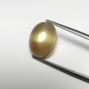 Moonstone golden star  13.15cts - 17x12mm