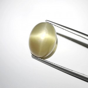 Moonstone golden star  13.15cts - 17x12mm