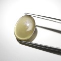 Natural Moonstone golden star 13.15 Carats Golden Honey Oval Cabochon 17x12 mm Loose Gemstone - Image 5