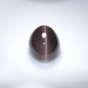 Sillimanite Cat’s Eye  7.46cts - 12x9mm