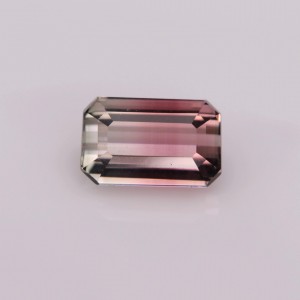 Tourmaline Bi Color  1.38cts - 8x5mm