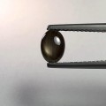 Natural Golden Star Sapphire 1.29 Carats Golden Black Oval Cabochon 7x5 mm Loose Gemstone - Image 2