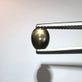 Natural Golden Star Sapphire 1.29 Carats Golden Black Oval Cabochon 7x5 mm Loose Gemstone - Image 4