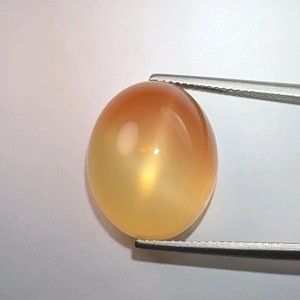 Star Moonstone  18.82cts - 19x15mm