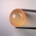 Natural Star Moonstone 18.82 Carats Golden Orange Oval Cabochon 19x15 mm Loose Gemstone - Image 4