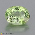 Natural Amblygonite 2.87 Carats Yellowish Green Oval 10x8 mm Loose Gemstone - Image 1