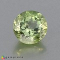 Natural Amblygonite 1.82 Carats Yellowish Green Round 8x5 mm Loose Gemstone - Image 1