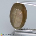 Natural Apatite cat eye 10.51 Carats Honey Yellow Oval Cabochon 15x9 mm Loose Gemstone - Image 3