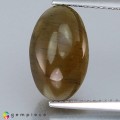 Natural Apatite cat eye 10.51 Carats Honey Yellow Oval Cabochon 15x9 mm Loose Gemstone - Image 1