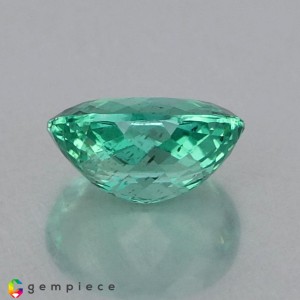 apatite  3.39cts - 11x8mm apatite  3.39cts - 11x8mm