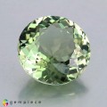 Natural Apatite 7.46 Carats Pastel Green Round 13x7 mm Loose Gemstone - Image 1