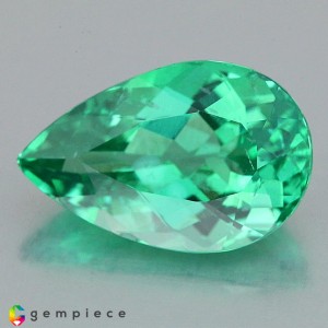 apatite  2.94cts - 12x8mm