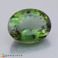 Natural Apatite 9.44 Carats Forest Green Oval 15x12 mm Loose Gemstone - Image 2
