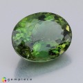 Natural Apatite 9.44 Carats Forest Green Oval 15x12 mm Loose Gemstone - Image 5