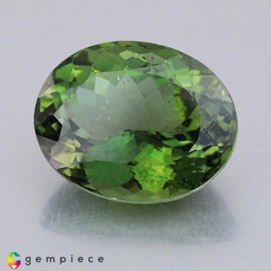 apatite  9.44cts - 15x12mm