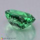 Showing image for apatite apatite Apatite image