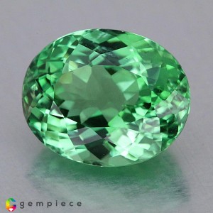 apatite  3.32cts - 10x8mm