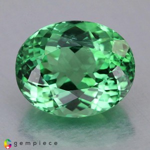 apatite  3.32cts - 10x8mm