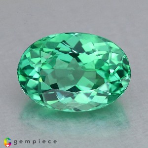 apatite  2.92cts - 10x7mm