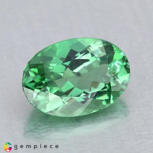 apatite  2.21cts - 10x7mm