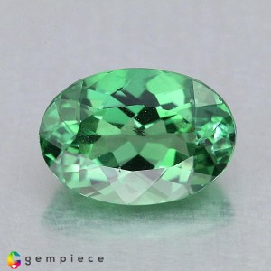 apatite  2.21cts - 10x7mm