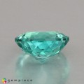 Natural Apatite 1.34 Carats Paraiba Blue Green Round 7x4 mm Loose Gemstone - Image 4