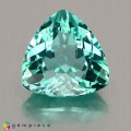 Natural Apatite 1.51 Carats Paraiba Blue Green Trilliant  7x7 mm Loose Gemstone - Image 2