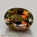 Natural Tourmaline 8.72 Carats Honey to Green Oval 14x11 mm Loose Gemstone - Image 2