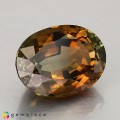 Natural Tourmaline 8.72 Carats Honey to Green Oval 14x11 mm Loose Gemstone - Image 6