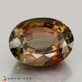 Natural Tourmaline 8.72 Carats Honey to Green Oval 14x11 mm Loose Gemstone - Image 7