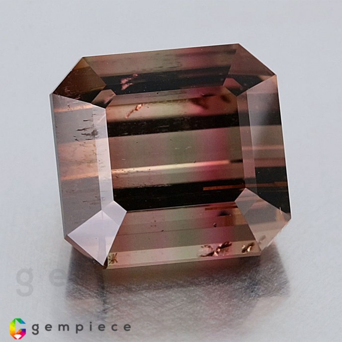 tourmaline Bi-color Tourmaline image