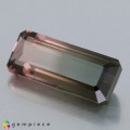 Natural Tourmaline 11.92 Carats Champagne Pink to Smoky Emerald 20x8 mm Loose Gemstone - Image 2