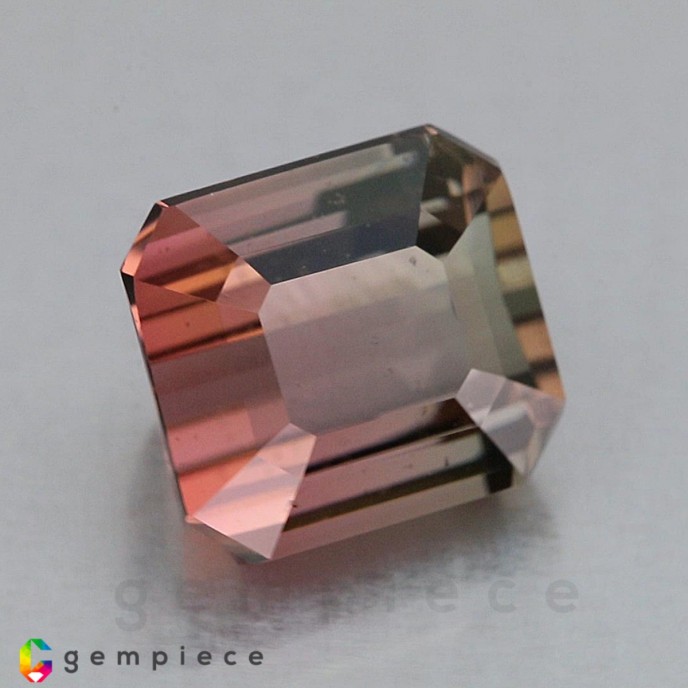 tourmaline Bi-color Tourmaline image