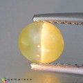 Natural Chrysoberyl cat's eye 0.98 Carats Yellow Oval Cabochon 6x5 mm Loose Gemstone - Image 2