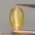 Natural Chrysoberyl cats eye 3.13 Carats Yellowish Green Oval Cabochon 10x9 mm Loose Gemstone - Image 2