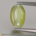 Natural Chrysoberyl cats eye 3.13 Carats Yellowish Green Oval Cabochon 10x9 mm Loose Gemstone - Image 1