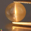 Natural Chrysoberyl cats eye 4.37 Carats Moss Green Oval Cabochon 10x9 mm Loose Gemstone - Image 2