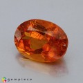 Natural Clinohumite 1.81 Carats Vivid Orange Oval 9x6 mm Loose Gemstone - Image 2