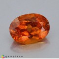 Natural Clinohumite 1.81 Carats Vivid Orange Oval 9x6 mm Loose Gemstone - Image 5