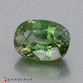 Natural Demantoid garnet 2.31 Carats Green Oval Cushion 9x7 mm Loose Gemstone - Image 1