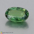 Natural Demantoid garnet 2.29 Carats Green Oval 9x6 mm Loose Gemstone - Image 3