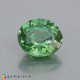 demantoid garnet Demantoid Garnet image