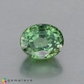 Natural Demantoid garnet 1.39 Carats Green Oval 7x5 mm Loose Gemstone - Image 3