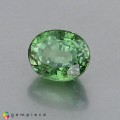 Natural Demantoid garnet 1.39 Carats Green Oval 7x5 mm Loose Gemstone - Image 4