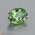 Natural Demantoid garnet 0.87 Carats Green Oval 7x5 mm Loose Gemstone - Image 2
